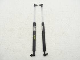 Acura 04746s6mz21 2002-2006 Rsx Type S Hatch Strut Shock Lift Set Lh Rh Oem