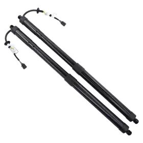 90560-3ja9a Applianpar 905603ja9a Pair Of 2 Rear Left-right Tailgate Power Lift Support Model
