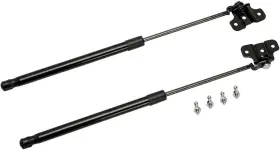 Aulatizo 085353327127 Front Hood Bonnet Lift Supports Shock Struts Compatible With Accord Black