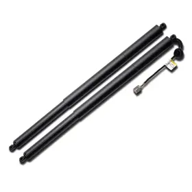 Lp-022-fd3002x-2-slr Aus A Pair Of Rear Left Right Tailgate Power Lift Support For Ford Escape 2013-2019