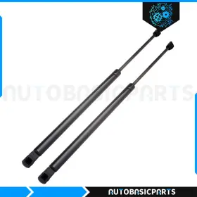 10377752 Autobasicparts For 2005-2007 Nissan Murano Qty 2 Rear Liftgate Tailgate Lift Supports Struts 10377752 Autobasicparts For 2005-2007 Nissan Murano Qty 2 Rear Liftgate Tailgate Lift Supports Struts