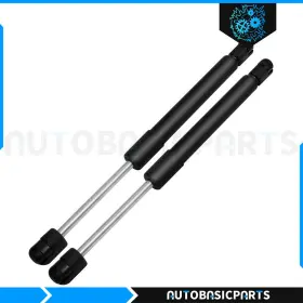 9923386 Autobasicparts For 2005-2010 Dodge Dakota Qty 2 Rear Trunk Lift Supports Shocks Gas Springs