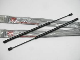 Autopart International Tfs612343-2 2 Tfs612343 Rear Back Glass Lift Support Shock Struts
