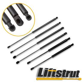 Autosparepartstore Aus81941601s 6 Qty Hood Window Tailgate Lift Supports Strut Spring Fits Kia Sorento 2003-2009