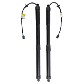 Gq4f38 Bfo Pair Rear Trunk Tailgate Lift Supports For Kia Sedona 3.3l Lambda 2 2015-2021
