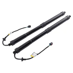 P8wr9i Bfo 2x Rear Tailgate Power Lift Support For Kia Sedona 3.3l Lambda 2 Wagon Long New