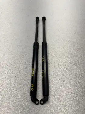 8172845 Bmw 1998 - 2001 740i Rear Trunk Lift Support Struts Pair Oem 242041