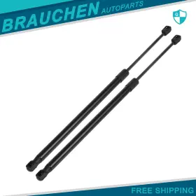 Br119096 Brau Lift Support Shock Strut Tailgate For 04-09 Corolla Verso Zer Zze Mpv 2pcs