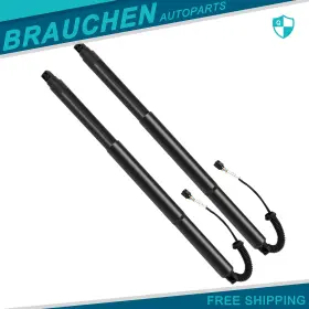Br843996au01 Brau Lift Supports Gas Struts Shocks Springs 2pcs Steel For 2021 Volks Wagen