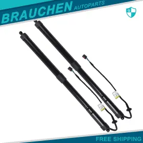 Br844001au01 Brau Lift Supports Struts Shocks Springs 2pcs For 2017-2019 Nissan Pathfinder Lh/rh