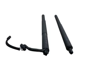 86553671 Chevrolet 2024-2025 Chevy Equinox Ev Rear Lh And Rh Trunk Liftgate Cylinder Lift Strut Set