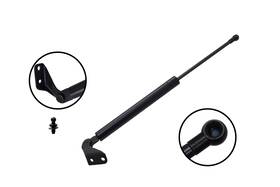 Fcs 80022l Liftgate Lift Support For 2007-2012 Nissan Versa