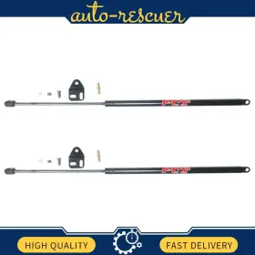 S2qyrp250828s06218 Focus Auto Parts Hatch Lift Support 2x For 1993 Till 1995 Mazda Rx-7