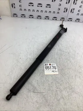 Cj54-s402a55-ag Ford 2013-2019 Escape Tailgate Liftgate Power Actuator Strut Oem