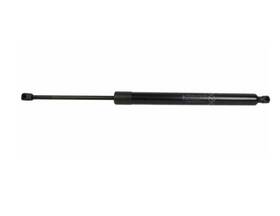 Ford Dt1z-61406a10-b Genuine Lift-gate Lift Support Lh-rh Transit Connect 14-23