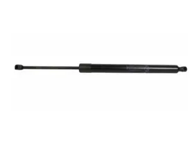 Dt1z-61406a10-b Ford Genuine Lift-gate Lift Support Lh-rh Transit Connect 14-23