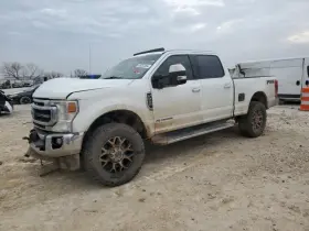 170-10252b Ford Truck Local Pickup Only Trunk/hatch/tailgate With Tailgate Step Fits 20 F250sd