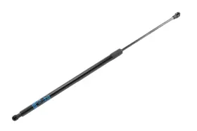 42756030 Gm Genuine Parts Passenger Side Liftgate Strut
