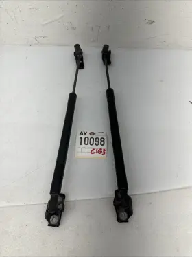 84298337 Gm Oem Driver And Passenger Side Liftgate Strut 2009-2017 Chevrolet Traverse