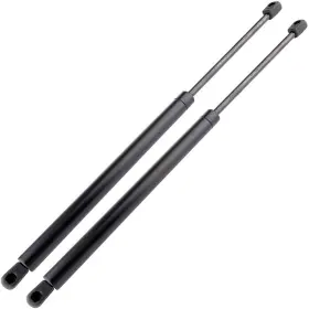 10732298 Goodypartsparts 2x Rear Tailgate Lift Supports Fits 2002-2009 Chevrolet Trailblazer Liftgate Kit