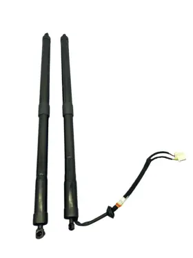74961tgsa013m1 Honda 2019-2023 Passport Oem Rear Left And Right Tailgate Cylinder Strut Set