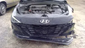 170-10574a Hyundai Elantra 2023 Trunk/hatch/tailgate 1164902 170-10574a Hyundai Elantra 2023 Trunk/hatch/tailgate 1164902