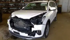 170-60842g Hyundai Trunk/hatch/tailgate Lwb Rear Camera Power Liftgate Fits 17-19 Santa Fe 849926