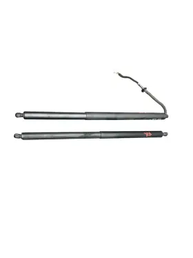 81831gi101 Hyundai 2022-2024 Ioniq 5 Oem Rear Left And Right Liftgate Tailgate Cylinder Strut