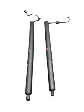 81841s8600 Hyundai 2023-2024 Palisade Limited Rear Left And Right Tailgate Lift Motor Set 2