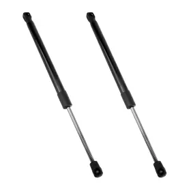 Tsg329009 Kac Fits 2000-2004 Toyota Avalon 2pcs Front Hood Lift Supports Gas Spring Struts
