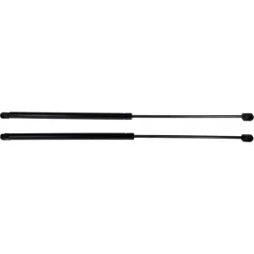 Karparts360 197301333569 For Ford F-series Lift Support 2011-2015 Driver And Passenger Side Front Hood