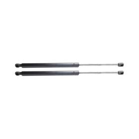 Karparts360 199608943601 For Chevy Trailblazer 2002-2009 Liftgate Supports Driver And Passenger Side Pair