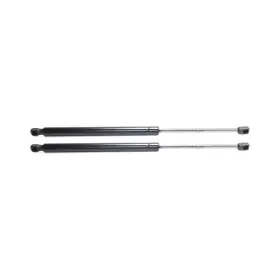 Karparts360 199608943601 For Chevy Trailblazer 2002-2009 Liftgate Supports Driver And Passenger Side Pair