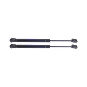 Karparts360 199608943656 For Infiniti M35/m45 2006-2010 Hood Lifts Driver And Passenger Side Pair