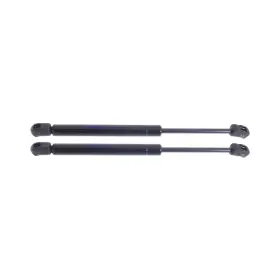 Karparts360 199608943656 For Infiniti M35/m45 2006-2010 Hood Lifts Driver And Passenger Side Pair