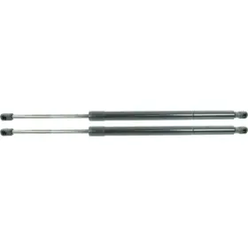 Karparts360 706189854310 For Toyota 4runner Liftgate Lift Support 2003-2009 Driver And Passenger Side Pair