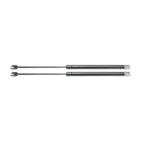 Bm1237113 Karparts360 For Bmw 318i/323i/325i/328i 1992-1999 Lift Support Driver And Passenger Side Bm1237113 Karparts360 For Bmw 318i/323i/325i/328i 1992-1999 Lift Support Driver And Passenger Side