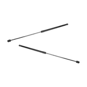 Fo1237139 Karparts360 For Ford Edge 2019-2024 Lift Supports Driver And Passenger Side Pair Hood Type