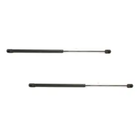 Fo1809101 Karparts360 For Ford Mustang 1994-2004 Lift Supports Driver Passenger Side Pair Trunk Lid Fo1809101 Karparts360 For Ford Mustang 1994-2004 Lift Supports Driver Passenger Side Pair Trunk Lid