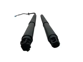 81831q5100 Kia 2023-2024 Seltos Rear Left And Right Liftgate Tailgate Power Lift Strut Set X2