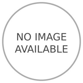 Monroe 300689 Liftgate Lift Support