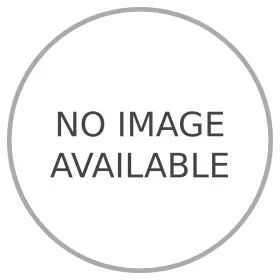 300724 Monroe Liftgate Lift Support