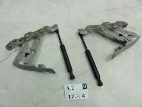 84400-7y000 Nissan 2004 2008 Maxima Trunk Hinge Driver Passenger Rear Back Deck Lid Strut Shock Set