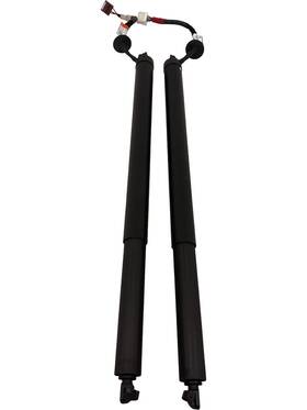 Nissan 90561-6rs0c 2024 Rogue Rear Liftgate Power Lift Cylinder Strut Oem Set