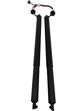 90561-6rs0c Nissan 2024 Rogue Rear Liftgate Power Lift Cylinder Strut Oem Set