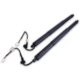 N-68910-0e070 Npudlir Pair Rear Tailgate Lift Support Power Hatch Shocks Struts Replacement For 20
