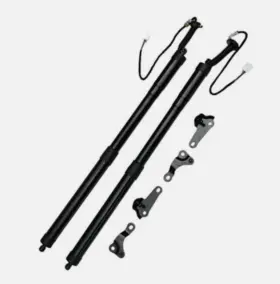 B212712 Pm Auto Pair Of 2 Rear Left-right Tailgate Power Lift Support For 2015-2017 Lexus Nx200t B212712 Pm Auto Pair Of 2 Rear Left-right Tailgate Power Lift Support For 2015-2017 Lexus Nx200t