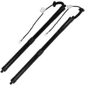 Sd84398701p Sdp4 Pair For Lexus Nx 2015-2017 Struts Shocks Lift Supports Springs