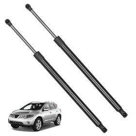 Tembor 6842 2pcs For 2012-17 Toyota Rav4 Rear Tailgate Trunk Lift Supports Shocks Struts