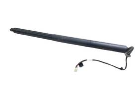 Tesla 1932025-98-d 2025-2026 Model Y Liftgate Power Strut Left Oem